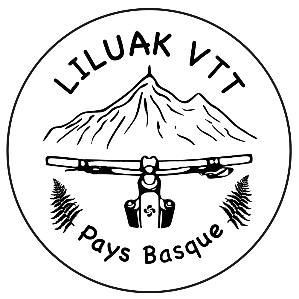 Logo-LiluakVTT